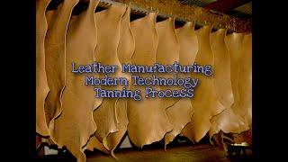 Leather Manufacturing II Full Tanning Industrial Process II Four Tannery Industry in One Video