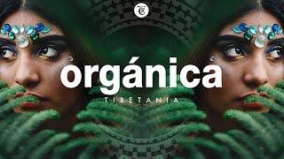 ORGANICA MIX  Finest Organic & Ethno Deep House Music  Dj Mix by Marga Sol