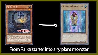 how Raika can bridge into ANY plant pt.2 yugioh