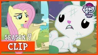 Fluttershy and Angels Day into Each Others Body She Talks to Angel  MLP FiM HD