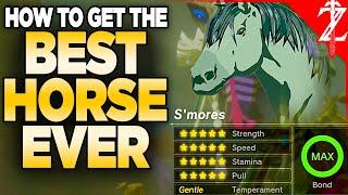 How to Get a 20⭐️ BEST Horse in Tears of the Kingdom All Malanya Recipes