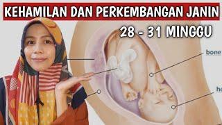 KEHAMILAN DAN PERKEMBANGAN JANIN USIA 7 BULAN 282930 & 31 MINGGU