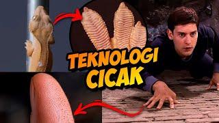 Tidak Ada Teknologi Sehebat Kaki Cicak. Spider-Man Pun Kalah  Nanoteknologi Di Kaki Cicak