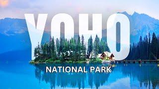 The ULTIMATE TRAVEL GUIDE  Yoho National Park