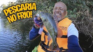 PESCARIA de Tucunaré no FRIO no Lago de Palmital  RG PESCA ESPORTIVA