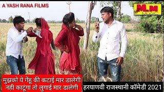 गेहूं की कटाई  पत्नी ने शराबी पति से कटवाई गेहूं  New Haryanvi Rajasthani Comedy Haryanvi 2021