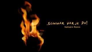 Emmy - Sommar Varje Da Nattsärk Remix