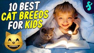 Top 10 Best Cat Breeds For Kids  Furry Feline Facts