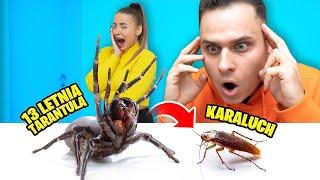 KARMIMY TARANTULE KARALUCHEM MRÓWKI MI UCIEKŁY