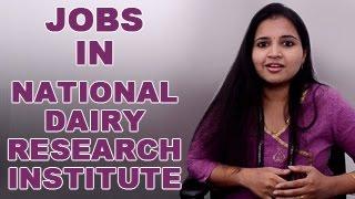 NDRI-National Dairy Research Institute-Recruitment NotificationOpeningsExam dates & results