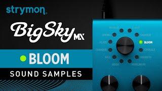 Strymon BigSky MX  Sound Samples  Bloom Reverbs