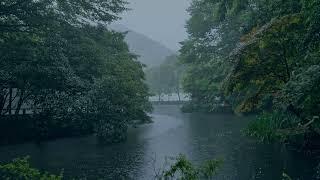 The beautiful little lake is raining178  sleep relax meditate study work ASMR