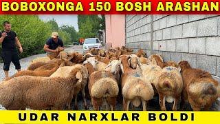 BOBOXON NARXNI SINDIRIB TASHLADI 150 BOSH ARASHAN AVGONLAR KELDI