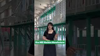 Professional Rice Mill Machine Manufacturer from China-Hongjia Rice Mill #ricemill #ricemillplant