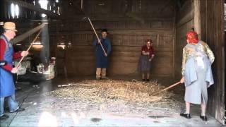 Threshing with hand flails – two pairs