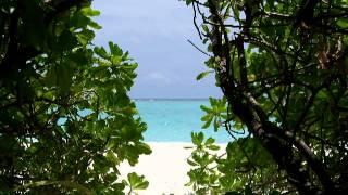 Vacance au Maldives sur une ile qui porte le non de LAGUNA