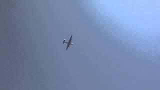 B-24 liberator over oc - HD