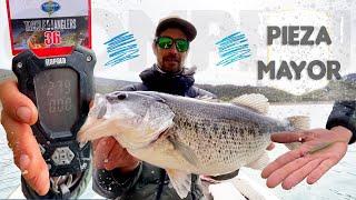 Competición de Black Bass en Primavera - Buscando los 3 más grandes. #46