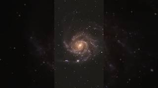 I captured an exploding star in the Pinwheel galaxy m101 #supernova #m101 #pinwheelgalaxy #space