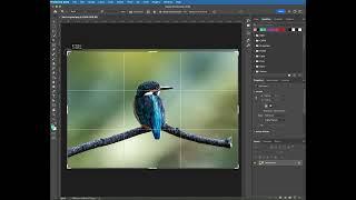 How to Crop in Photoshop