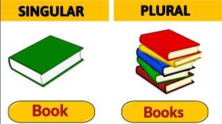 Singular Noun Plural Noun  Nouns  Singular and plural  Basic English grammar  #singularandplural