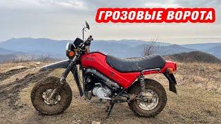 Сколько разгонится Тула 5.951? Покатушка на Туле в горы