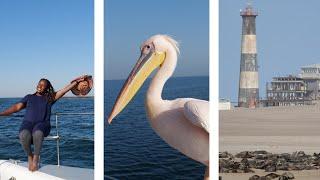 Namibias Marine Life - Dolphin Cruise from Walvis Bay