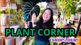 The BEST Rare Aroid Shop in NYC  Plant Corner Shop Tour