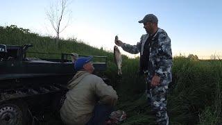Летняя рыбалка на реке Большая Визинга
