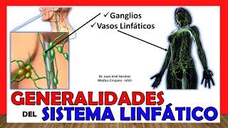  LYMPHATIC SYSTEM in 18 Minutes GENERALITIES. Easy and simple