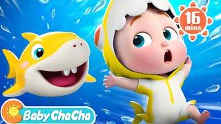 Baby Shark  Baby Shark Doo Doo Doo Dance + More Baby ChaCha Nursery Rhymes & Kids Songs