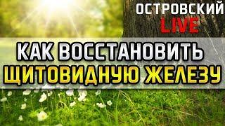 КАК ВОССТАНОВИТЬ ЩИТОВИДНУЮ ЖЕЛЕЗУ Островский Live. Зоб гипертиреоз бессонница невроз щитовидка