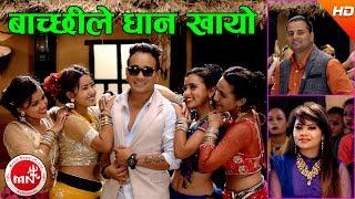 New Typical Jhyure Song  Bachchhile Dhan Khayo - Chandra Sharma & Tika Tarami Magar Ft Ramji