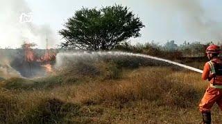 Puluhan Hektar Lahan Kilang Minyak GRR Tuban Kembali Terbakar