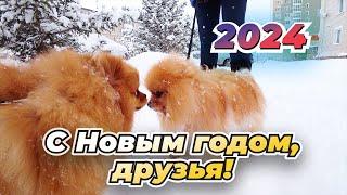 Small dogs in big snow. New Year 2024