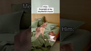 CAT MEMES Overnight at my boyfriends house #catmemes #relatable #relationship