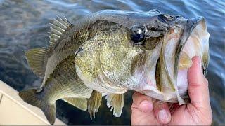 Bass Fishing the STICK MARSH with the Newly Weds