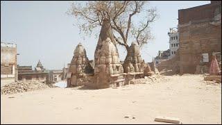 Kashi Vishwanath temple corridor. Ancient temples found on Kashi Vishwanath corridor project