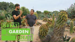 Jason Visits the LARGEST Cactus Collection in Australia  GARDEN  Great Home Ideas