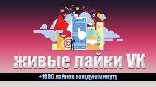 Накрутка живых лайков в вконтакте