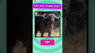 प्राण्यांची नावे ओळखा ? । Guess The Animal ?। Guess The Animal In 3 Seconds? In Marathi