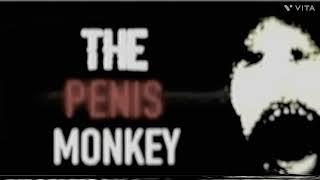 The Penis Monkey Creepypasta Very Scary