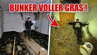 WEED Plantage im BUNKER    Hier wurden MILLIONEN GEMACHT    ItsMarvin