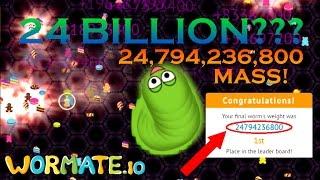 WORMATE.IO NEW WORLD RECORD  24794236800 MASS  24 BILLION MASS IN WORMATE.IO