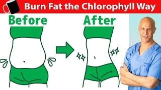 1 Cup a Day Burns Belly Fat the Chlorophyll Way  Dr. Mandell