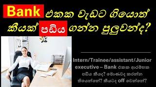 Entry-Level Banking Jobs in Sri Lanka Salary Roles and Career Growth in 2024