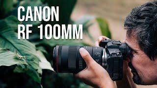 Canon RF 100mm f2.8L IS USM Macro Lens First Look