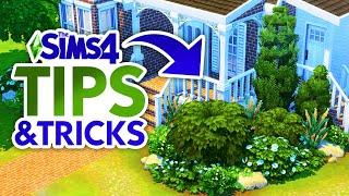 Landscape for FREE in The Sims 4  Step-By-Step Landscaping Terrain Paint & DEBUG