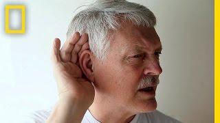 Take the High-Frequency Hearing Test  Brain Games