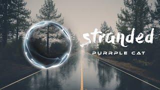 Chill Lofi Relax Instrumental Music  Stranded • Purrple Cat  Royalty Free  Music For Videos